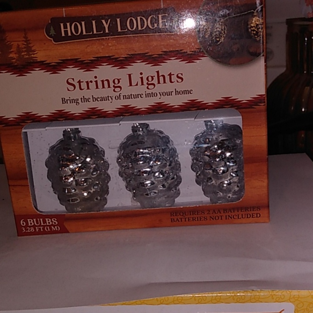 New acorn string lights 🍂 Fall Decor